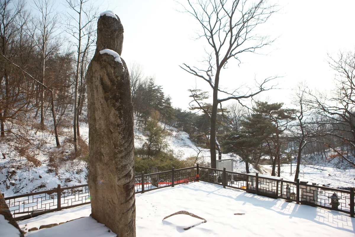 안양시 벚꽃명소 캠핑장 (출처 : 한국관광공사)