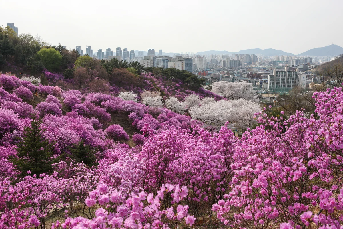 상동호수공원 - 부천여행 여행
