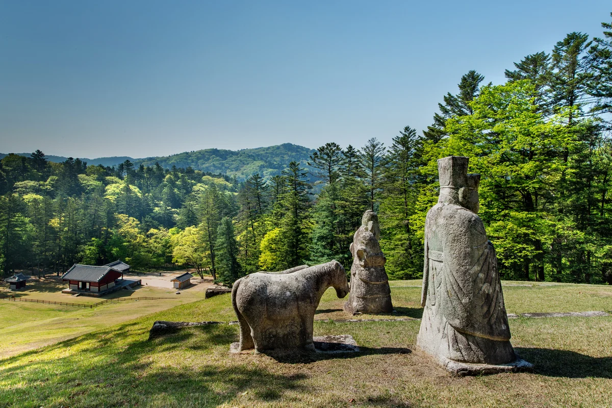 남양주시 벚꽃명소 캠핑장 (출처 : 한국관광공사)