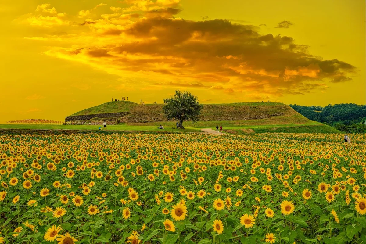 연천 호로고루 - 연천여행 여행