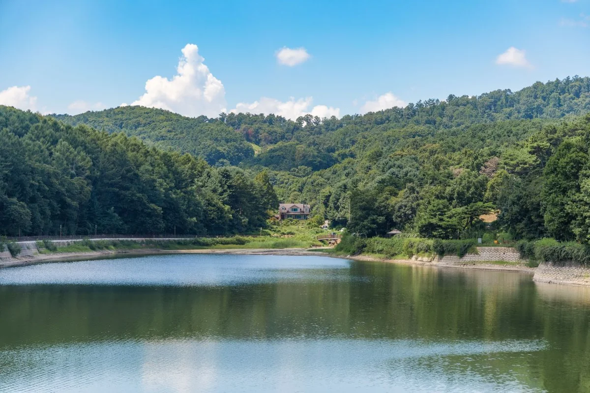 포천 벚꽃 캠핑장 (출처 : 한국관광공사)