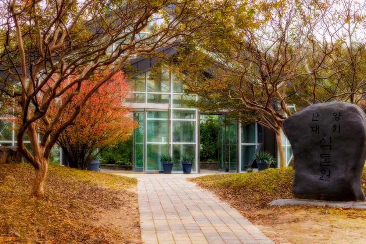 경기도 양평 벚꽃 캠핑장, 에디터스 픽 - 경기도 여행