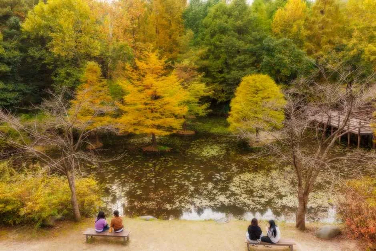 양평수목원 오토캠핑장 - 경기도 여행