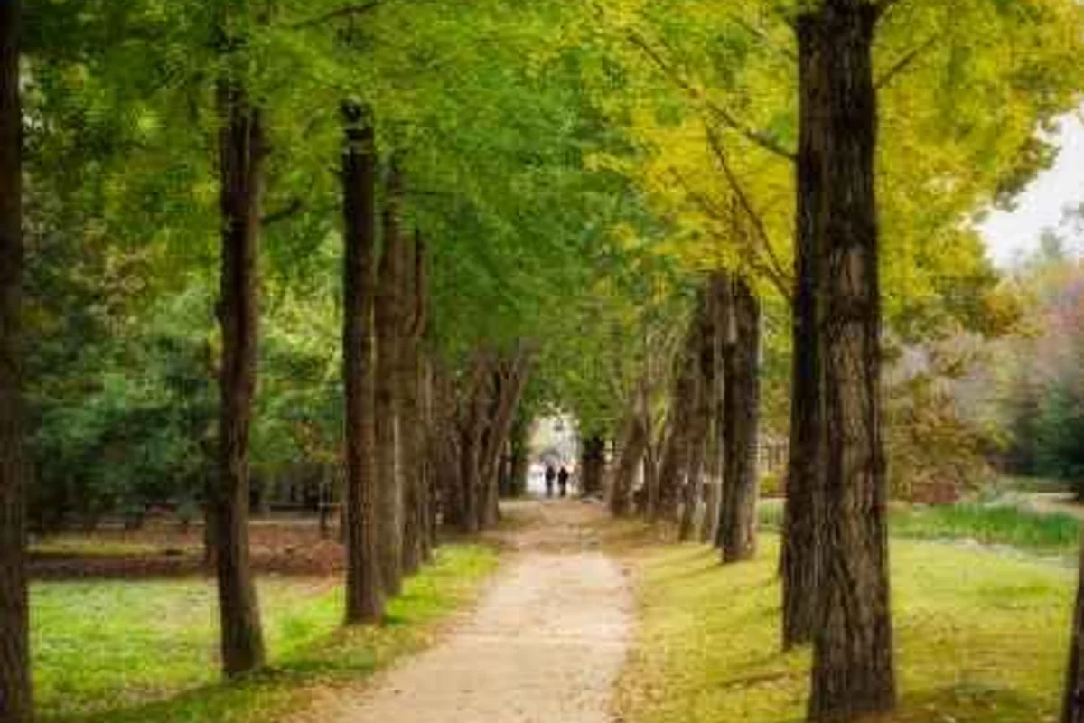 갈산공원 - 경기도 여행