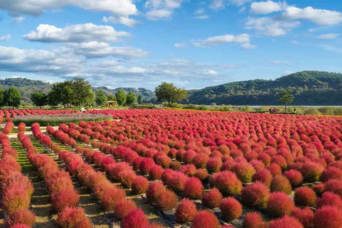 연천재인폭포오토캠핑장 - 연천여행 여행
