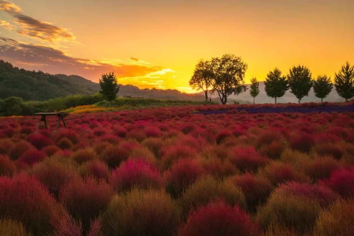 보물나라캠프 - 연천여행 여행