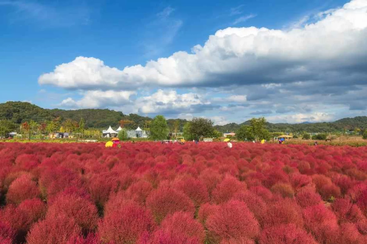 재인폭포 - 연천여행 여행