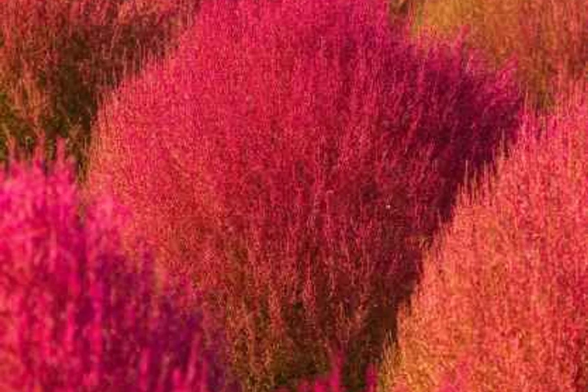 연천전곡리유적 - 연천여행 여행