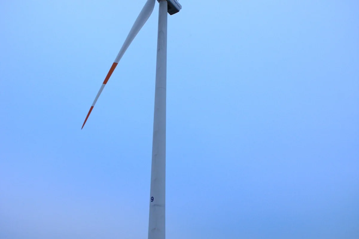 환상숲곶자왈공원 - 제주여행 여행