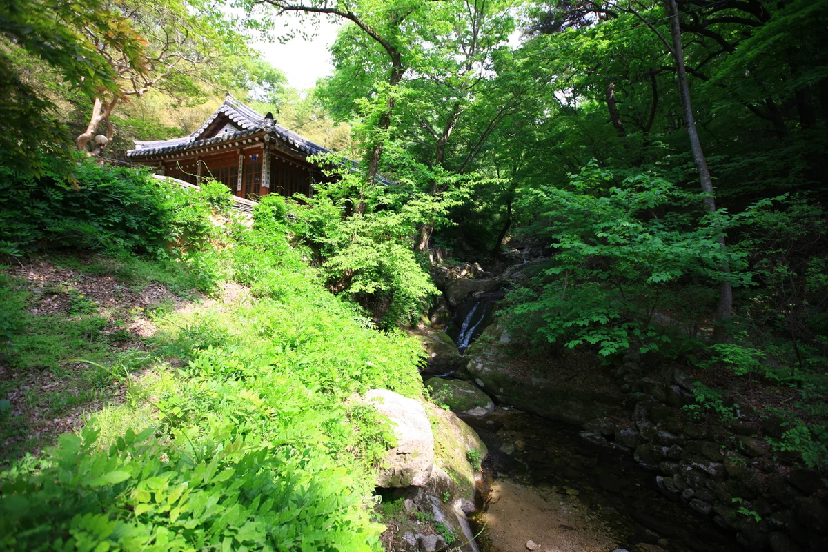 계룡 패러글라이딩 (출처 : 한국관광공사)