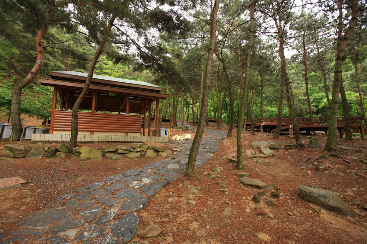 송정자연휴양림 - 칠곡여행 여행