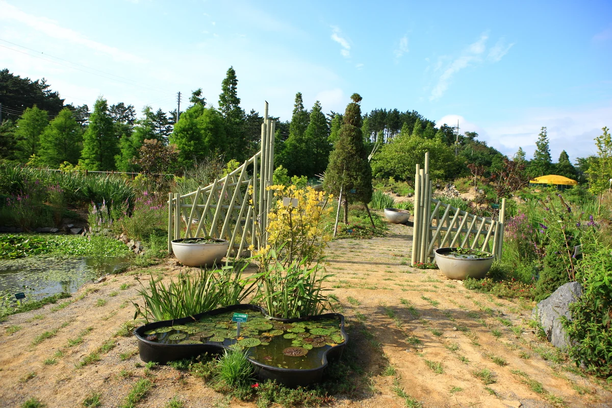 청산수목원 - 태안여행 여행