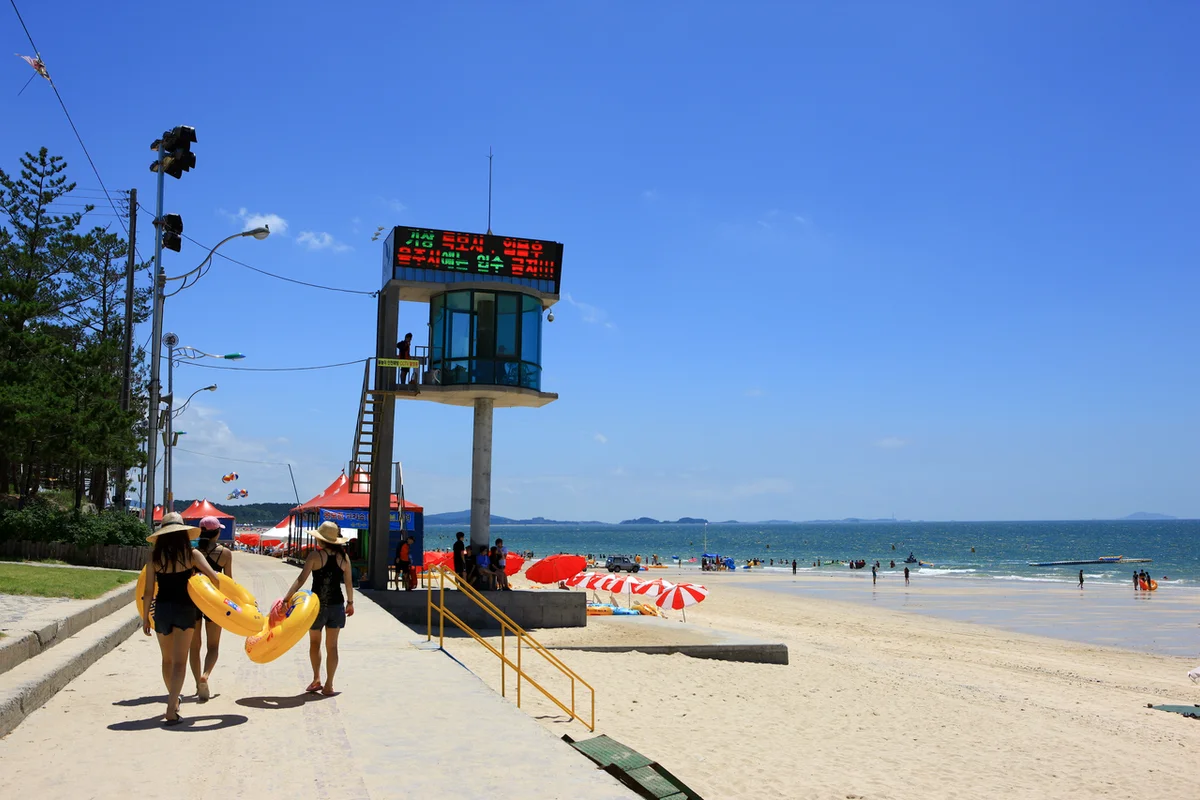 보령 대중교통 여행, 편리하게 즐기는 법 - 보령여행 여행