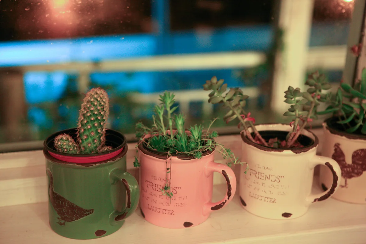 달맞이길 - 부산여행 여행