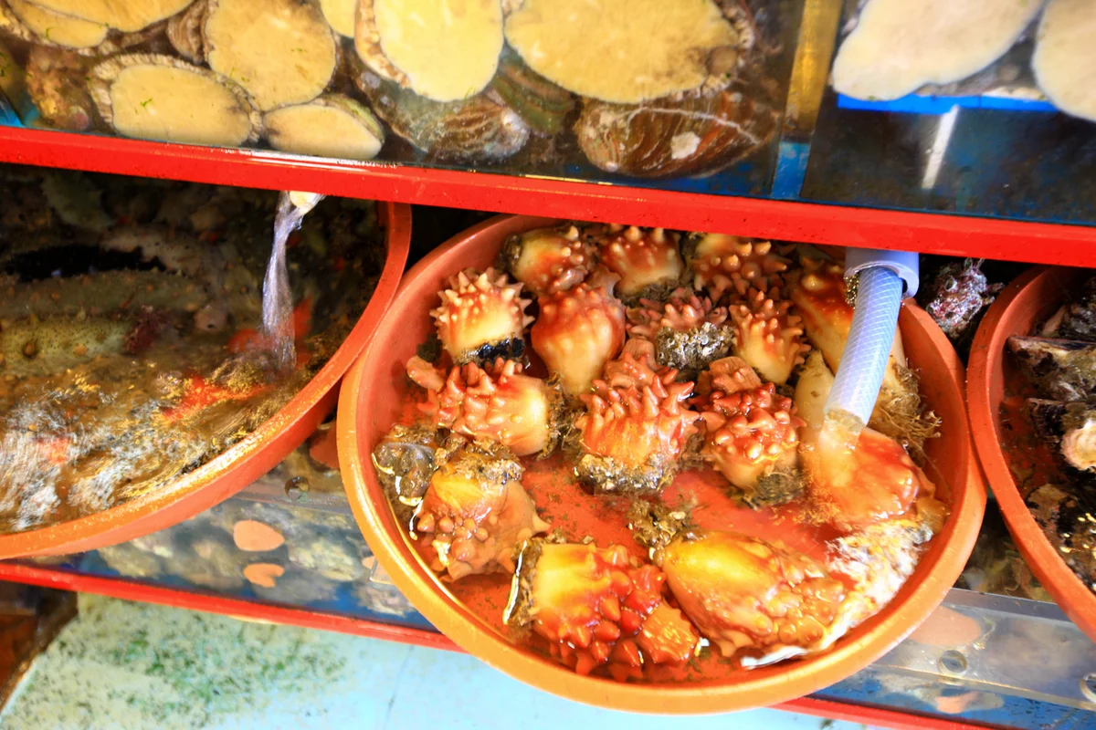 자갈치시장 주차 (출처 : 한국관광공사)