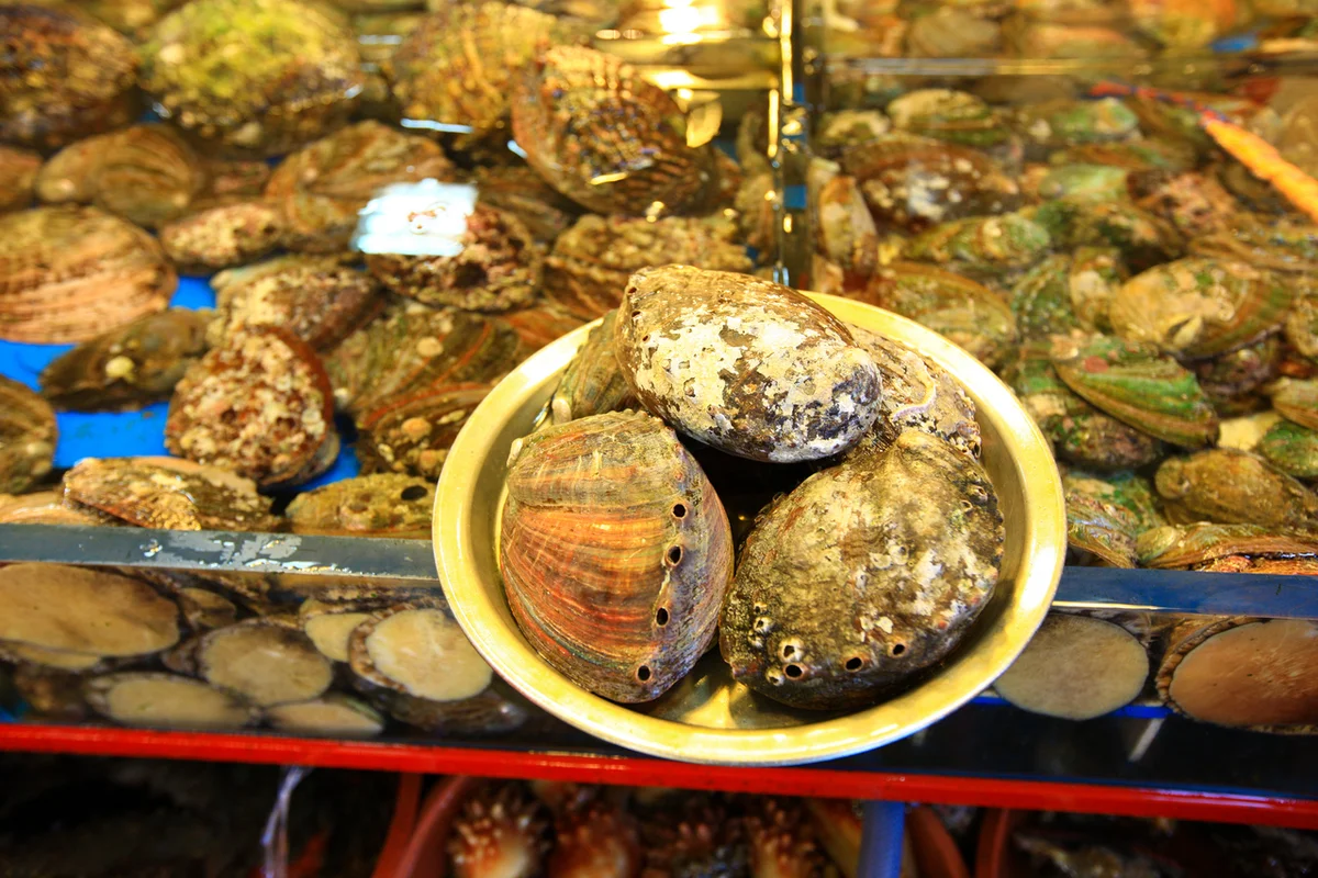 자갈치시장 주차, 완벽 가이드 - 자갈치시장 여행