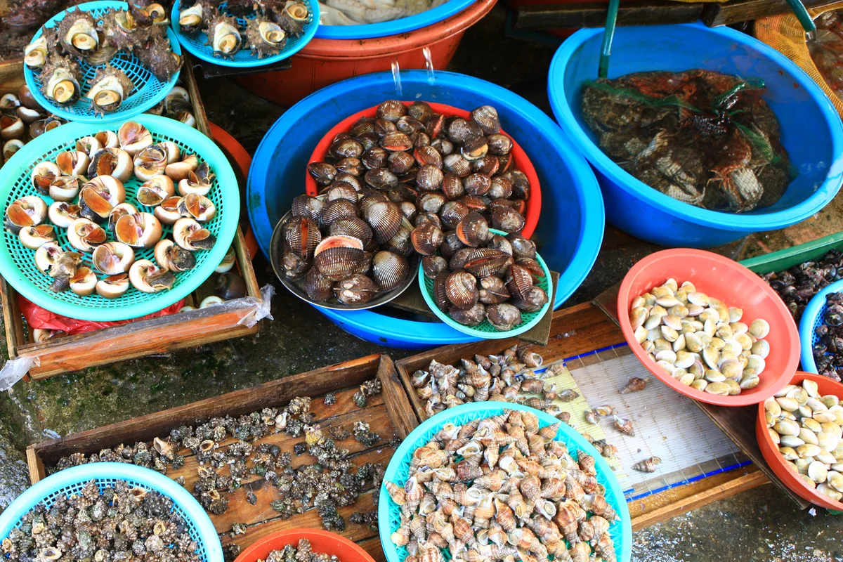 창선동 먹자골목 - 자갈치시장 여행