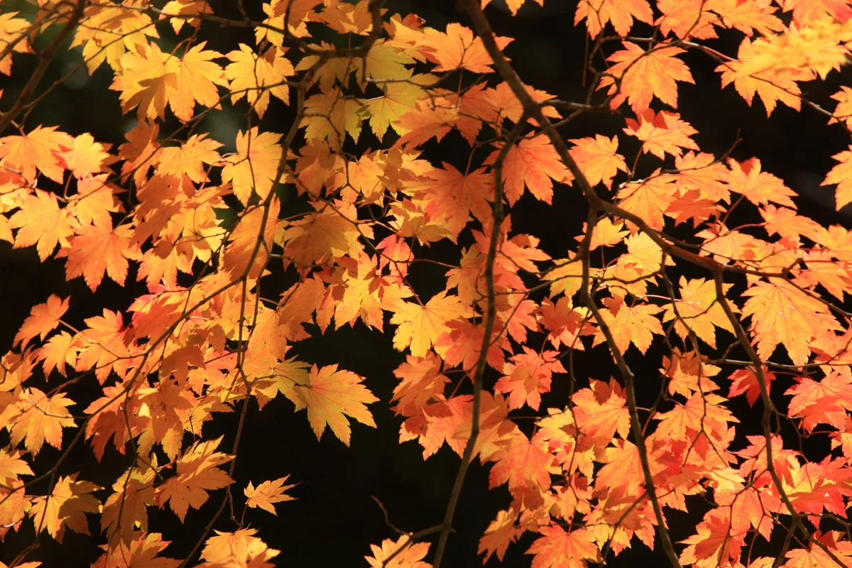 주왕산국립공원 - 청송 여행