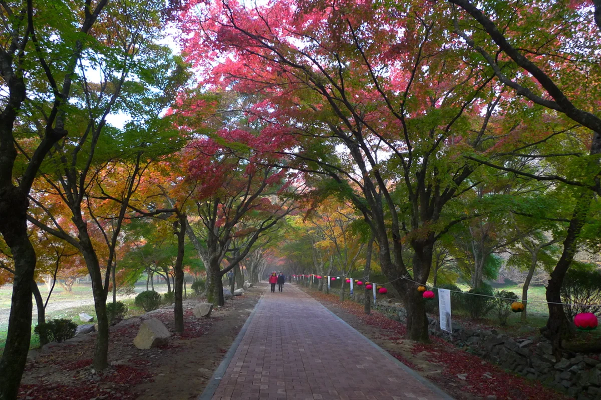 내장사 - 정읍여행 여행