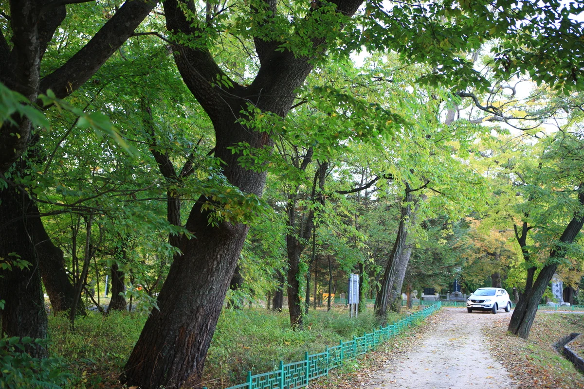 의성펫월드 - 의성여행 여행