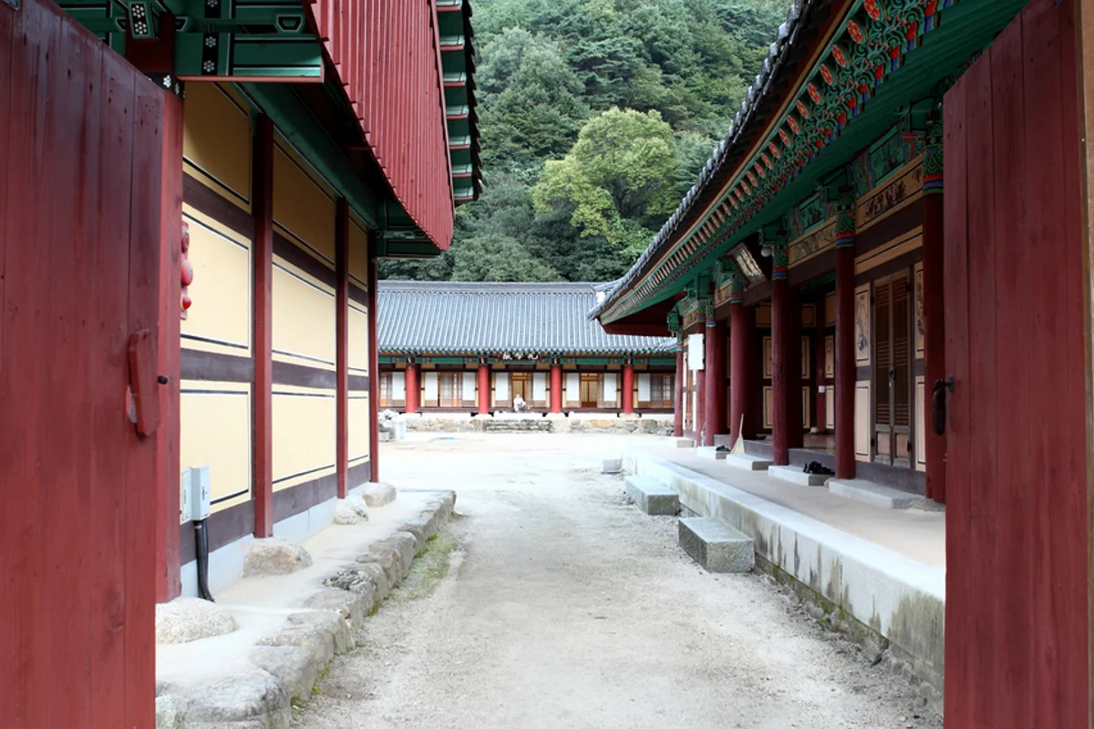 동백 템플스테이 (출처 : 한국관광공사)