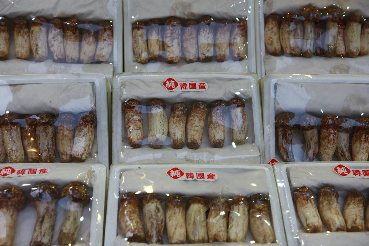 남대문시장 - 서울역 여행