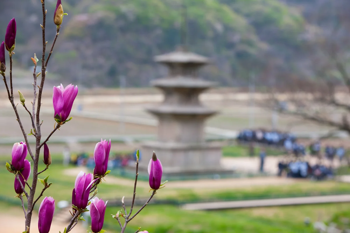 감은사지 가는법 (출처 : 한국관광공사)