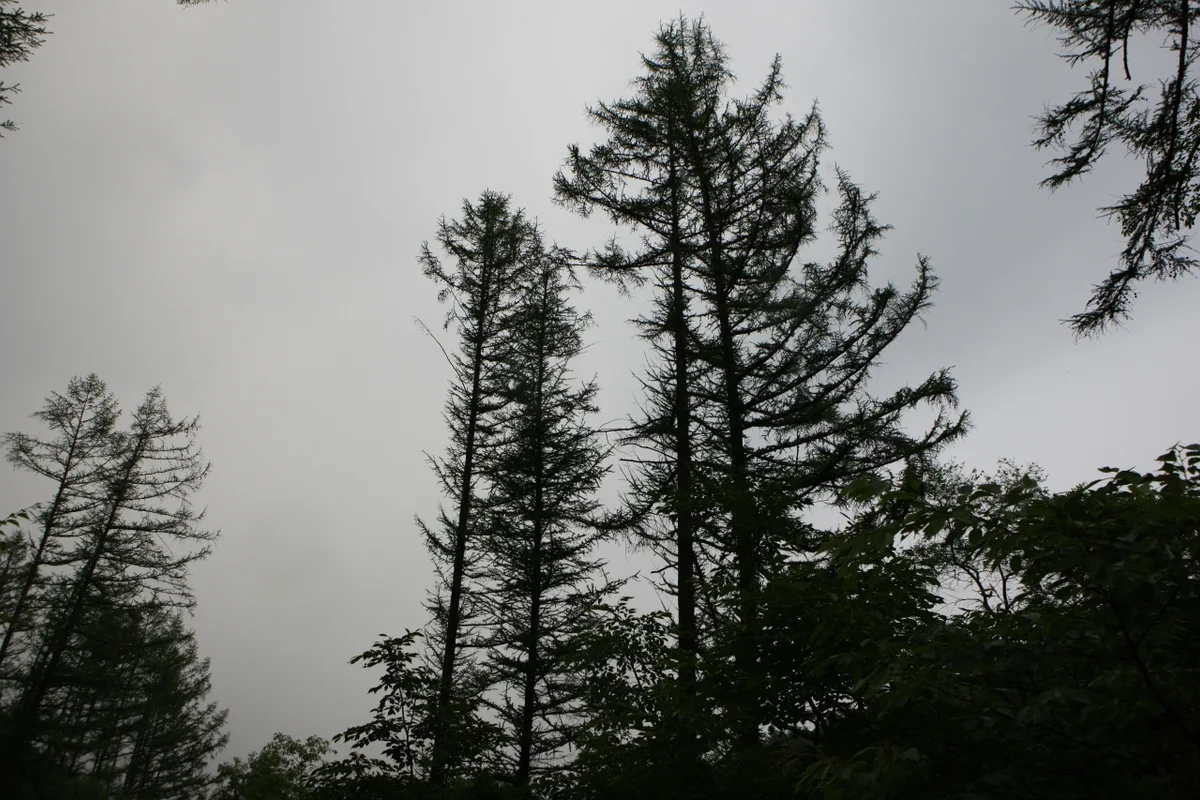 제이드가든 - 춘천여행 여행