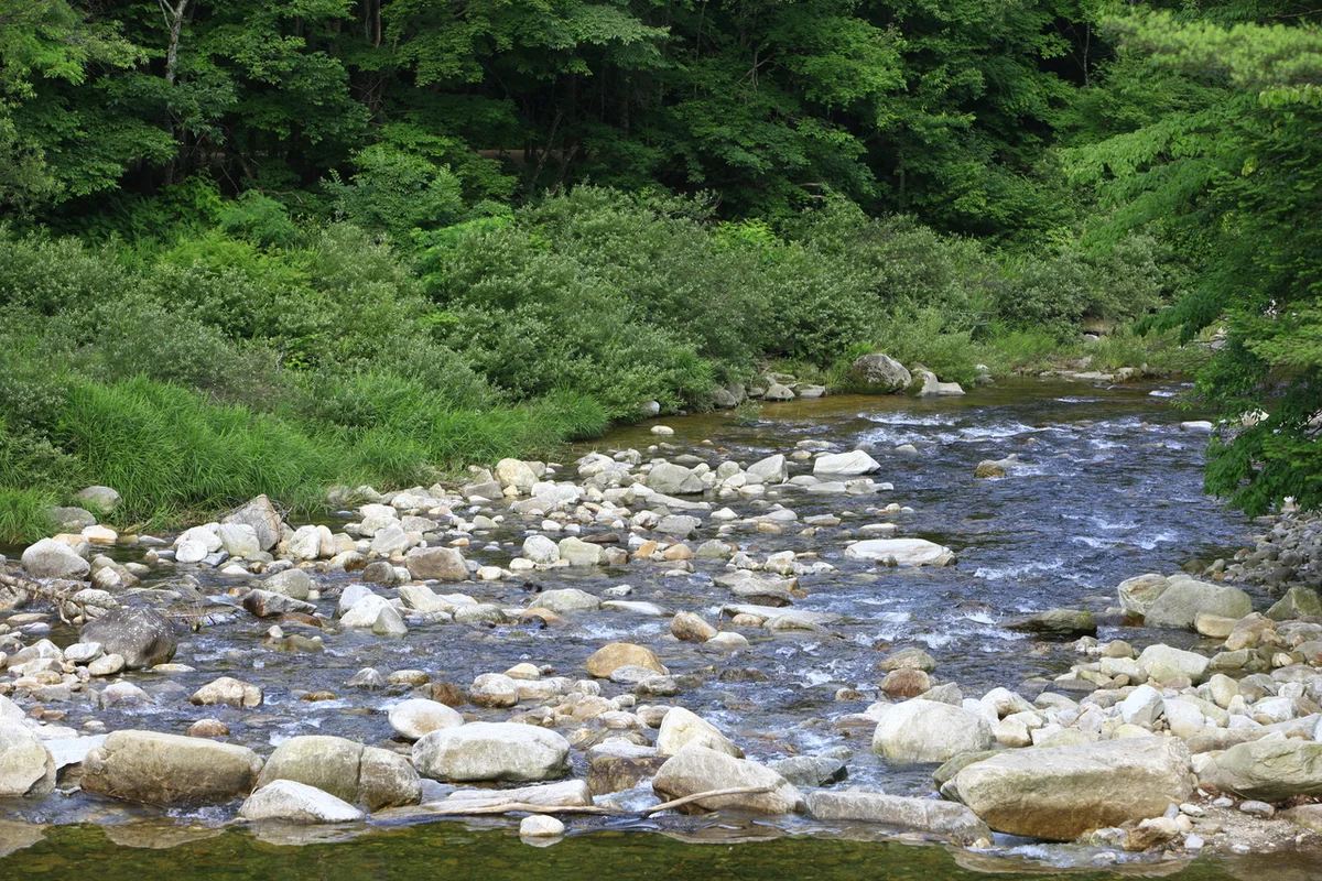월정사 - 오대산 여행
