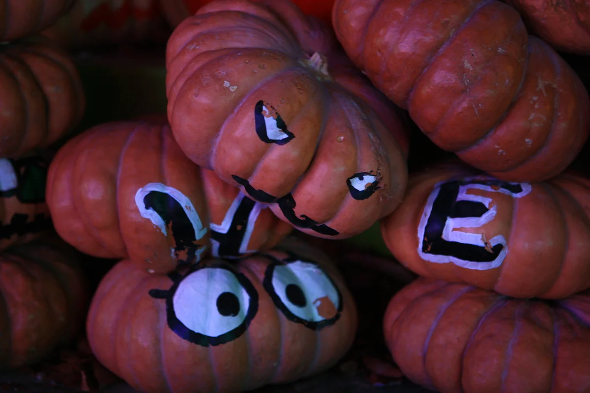 청도 프로방스 - 청도군 여행