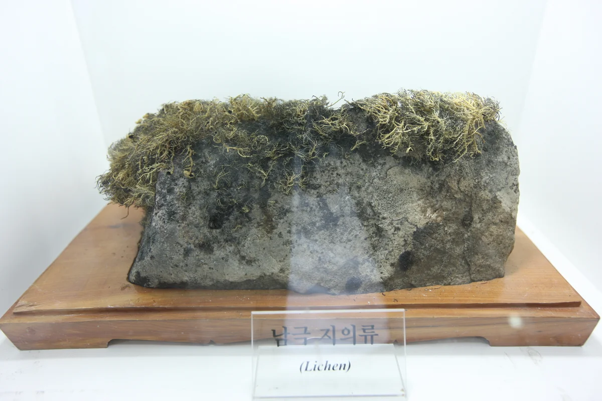 송도달빛축제공원 - 송도여행 여행