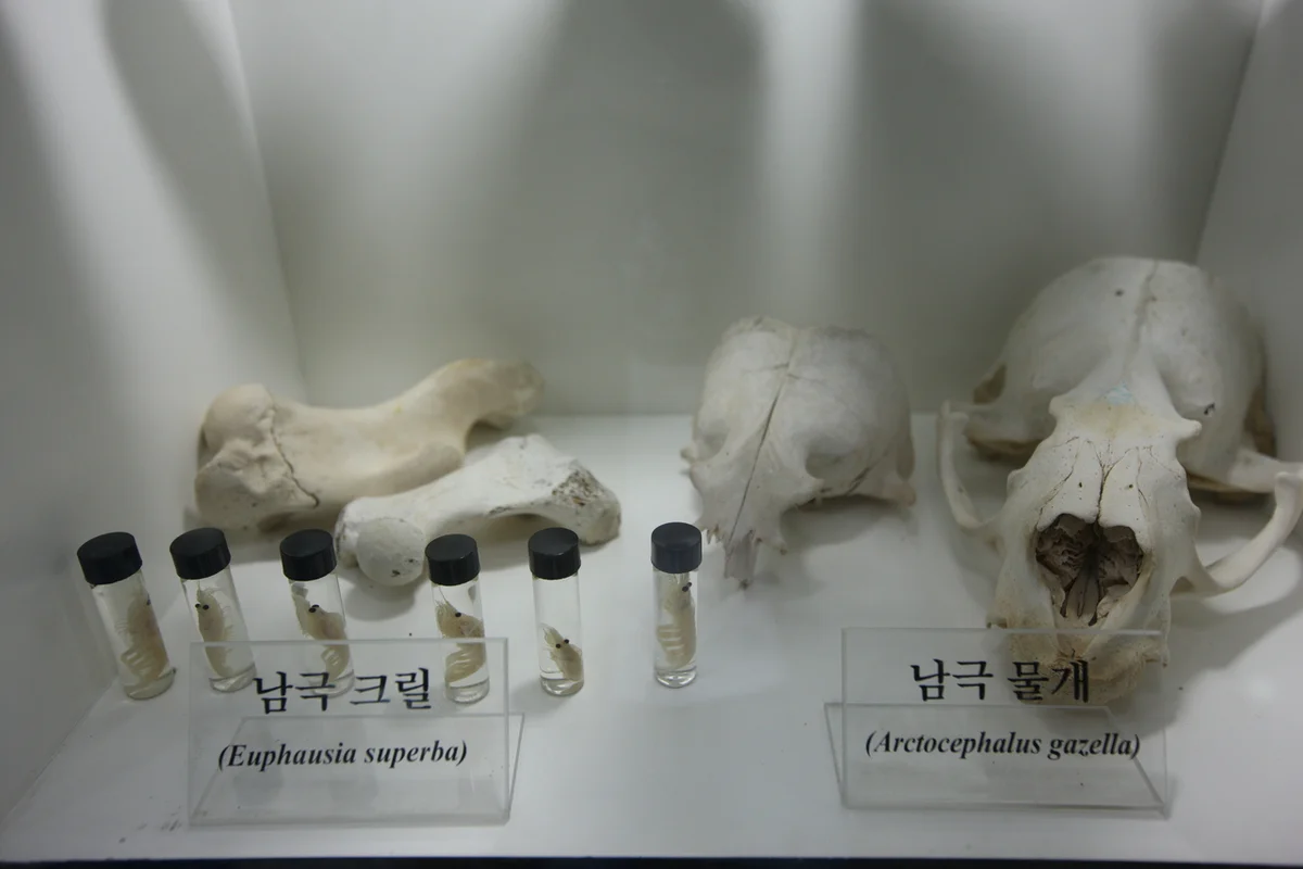 현대프리미엄아울렛 송도점 - 송도여행 여행