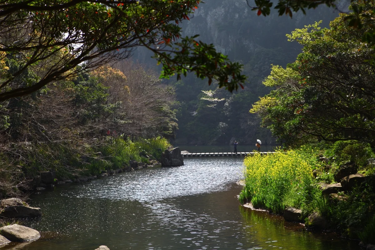 천지연폭포 가족여행 (출처 : 한국관광공사)