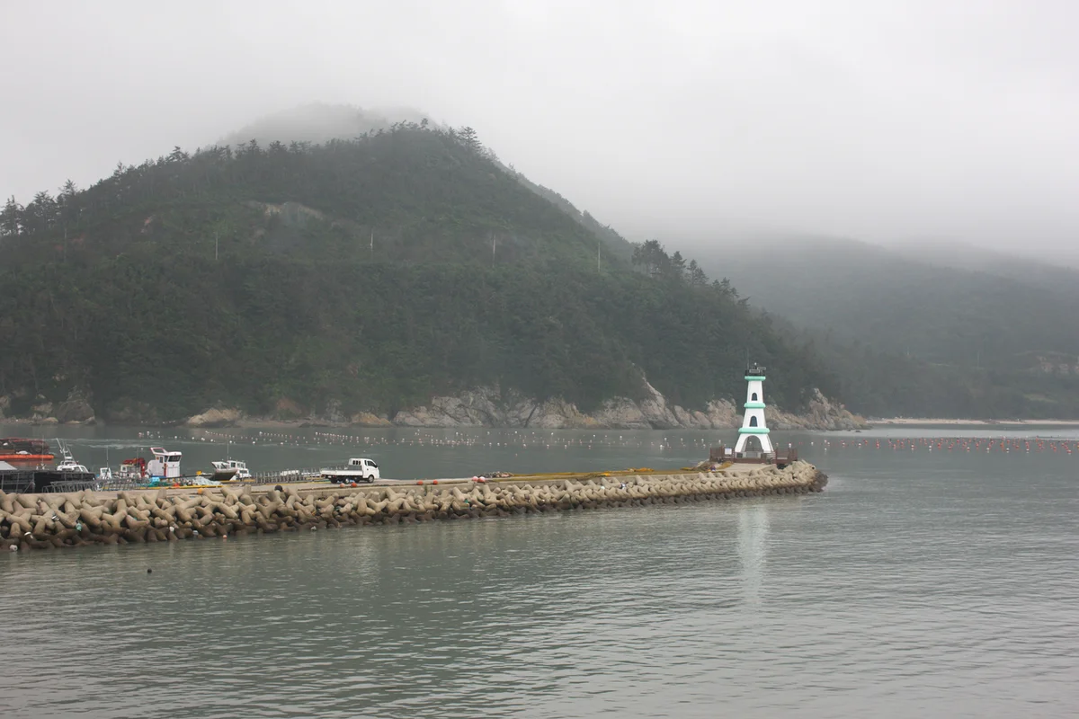 포레스트수목원 - 해남여행 여행