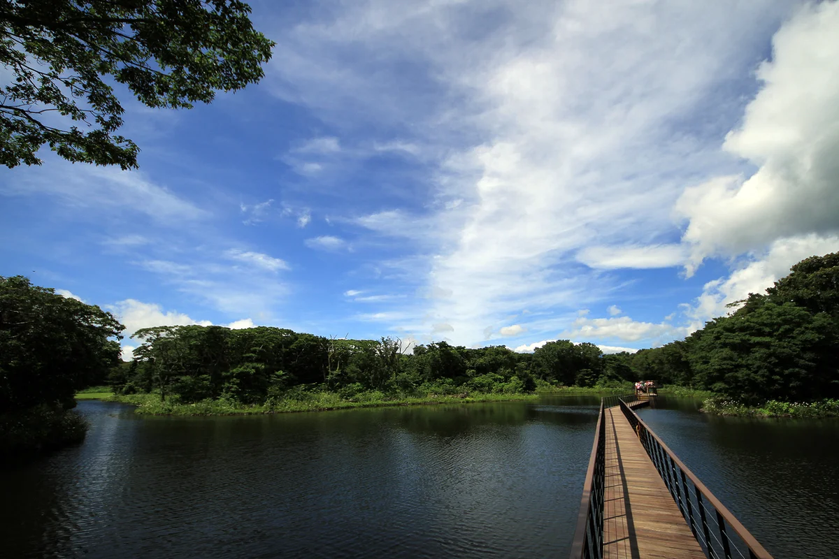 에코랜드 테마파크 - 제주시 여행