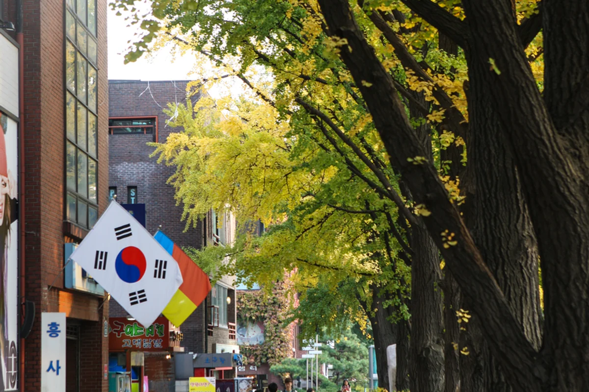 대학로 - 대학로 여행