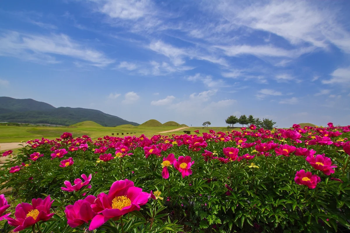 의성 아이와 함께 (출처 : 한국관광공사)