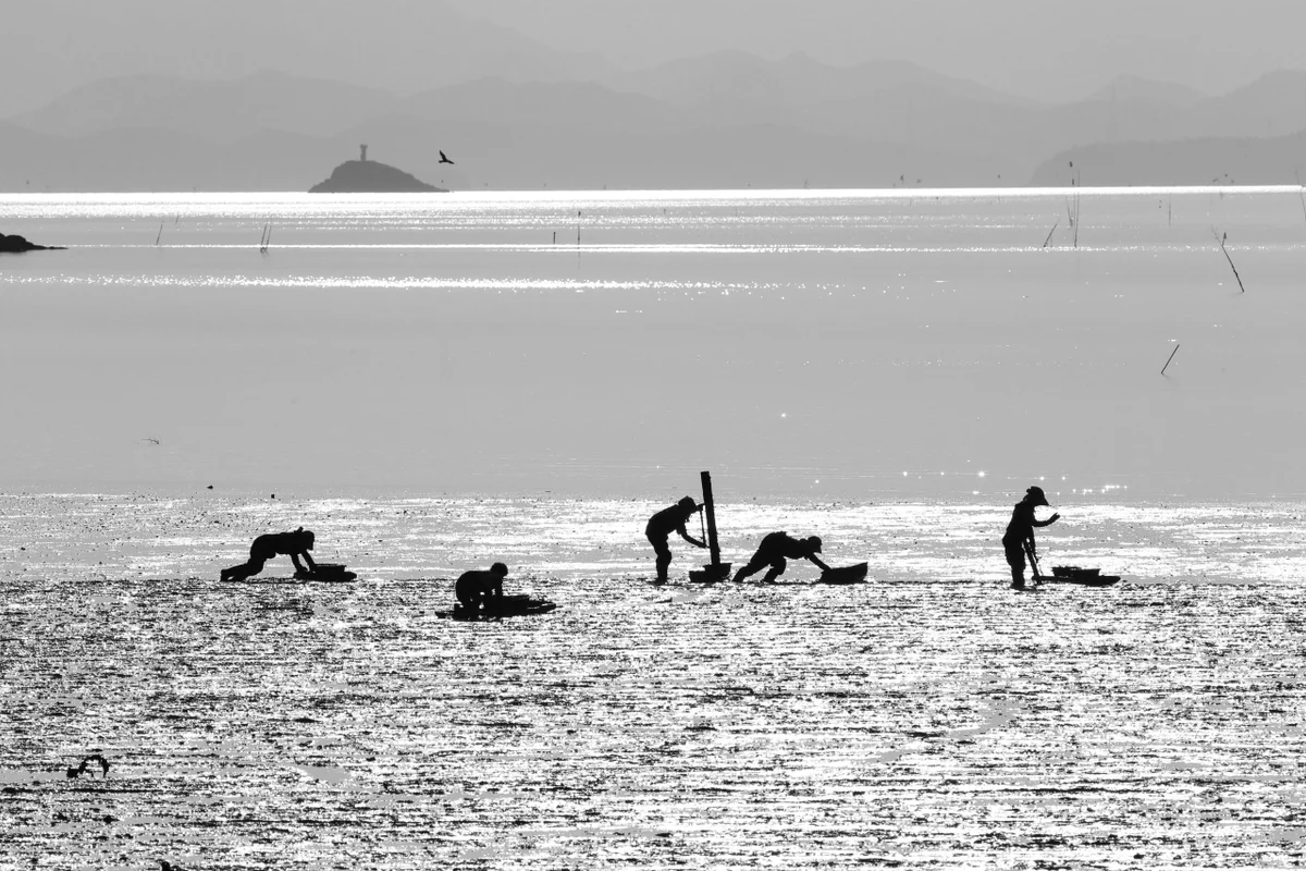 금은모래강변공원 - 여주여행 여행