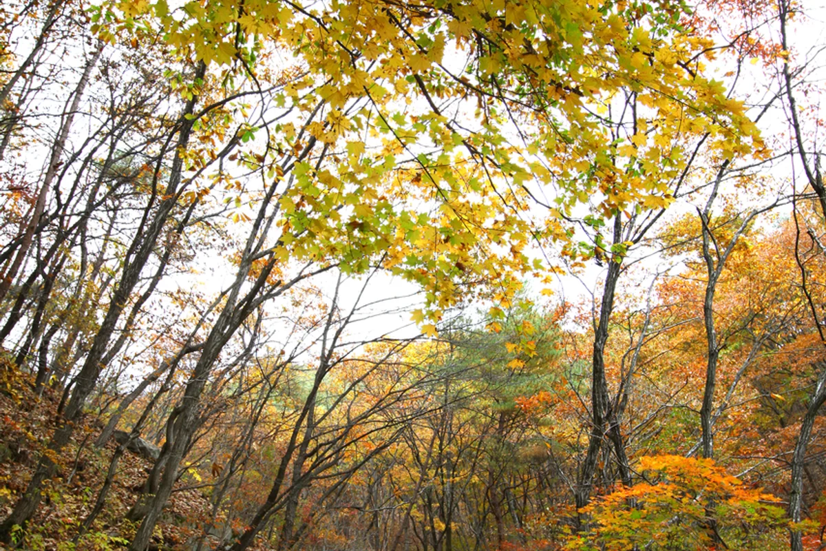 청평사계곡 - 청평사 여행