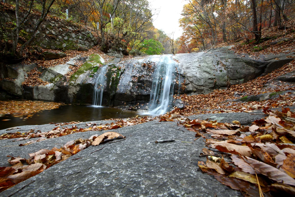맛짱딸기 농장 - 청평사 여행