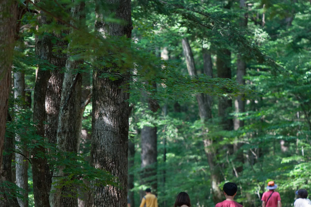 월정사 템플스테이 - 오대산 여행