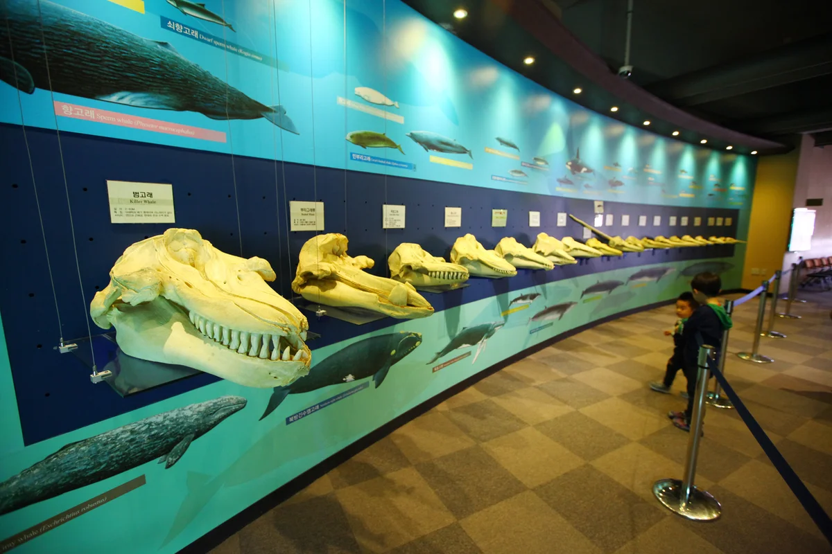 장생포고래문화마을 가는법 (출처 : 한국관광공사)