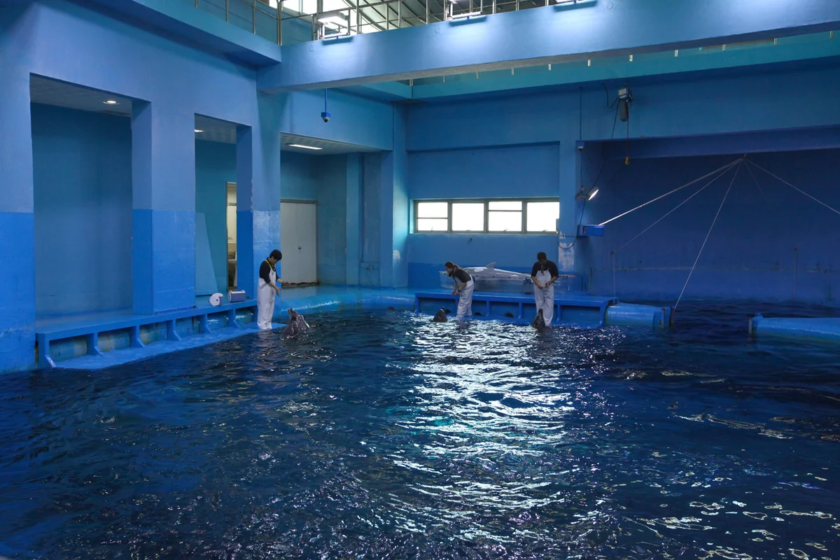 장생포 고래생태체험관 - 울산여행 여행