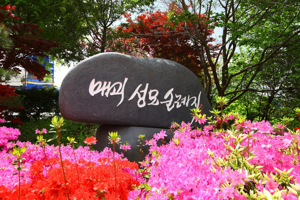 곡성 여행 (출처 : 한국관광공사)