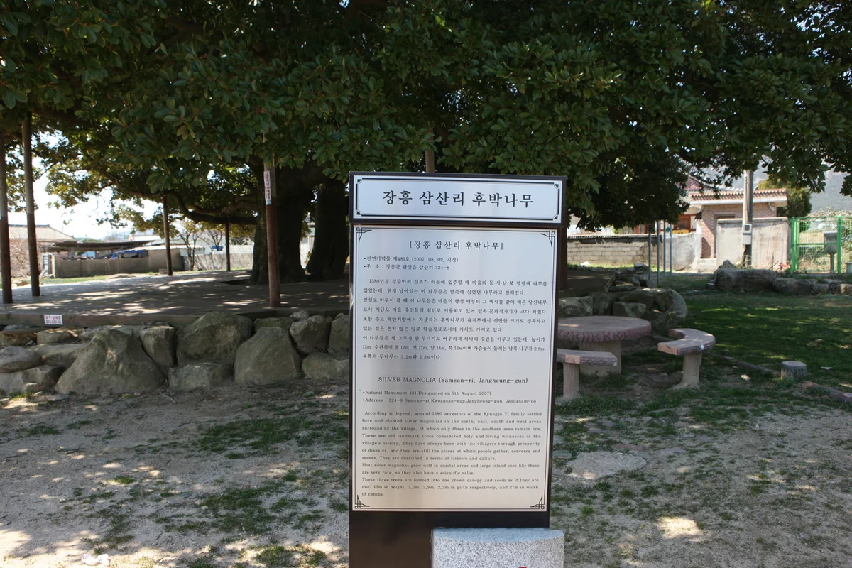 삼산 핫플 (출처 : 한국관광공사)