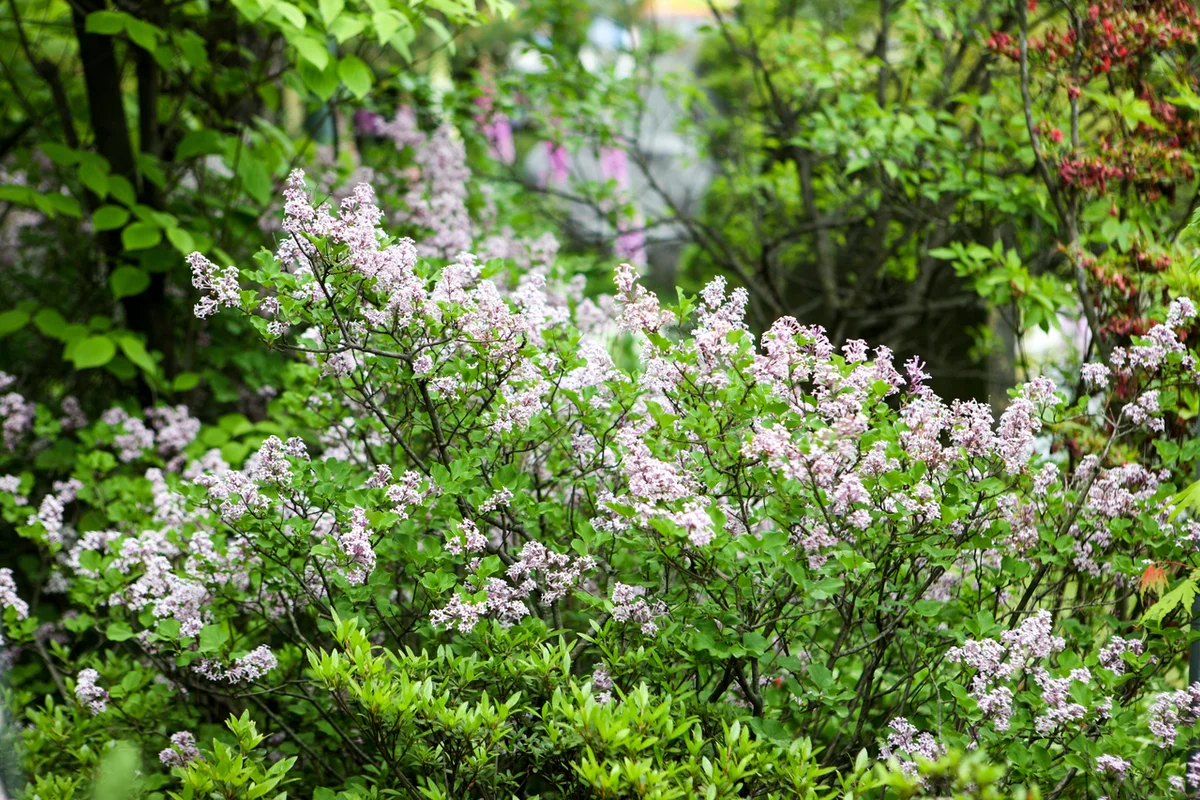 상수 캠핑장 추천 (출처 : 한국관광공사)