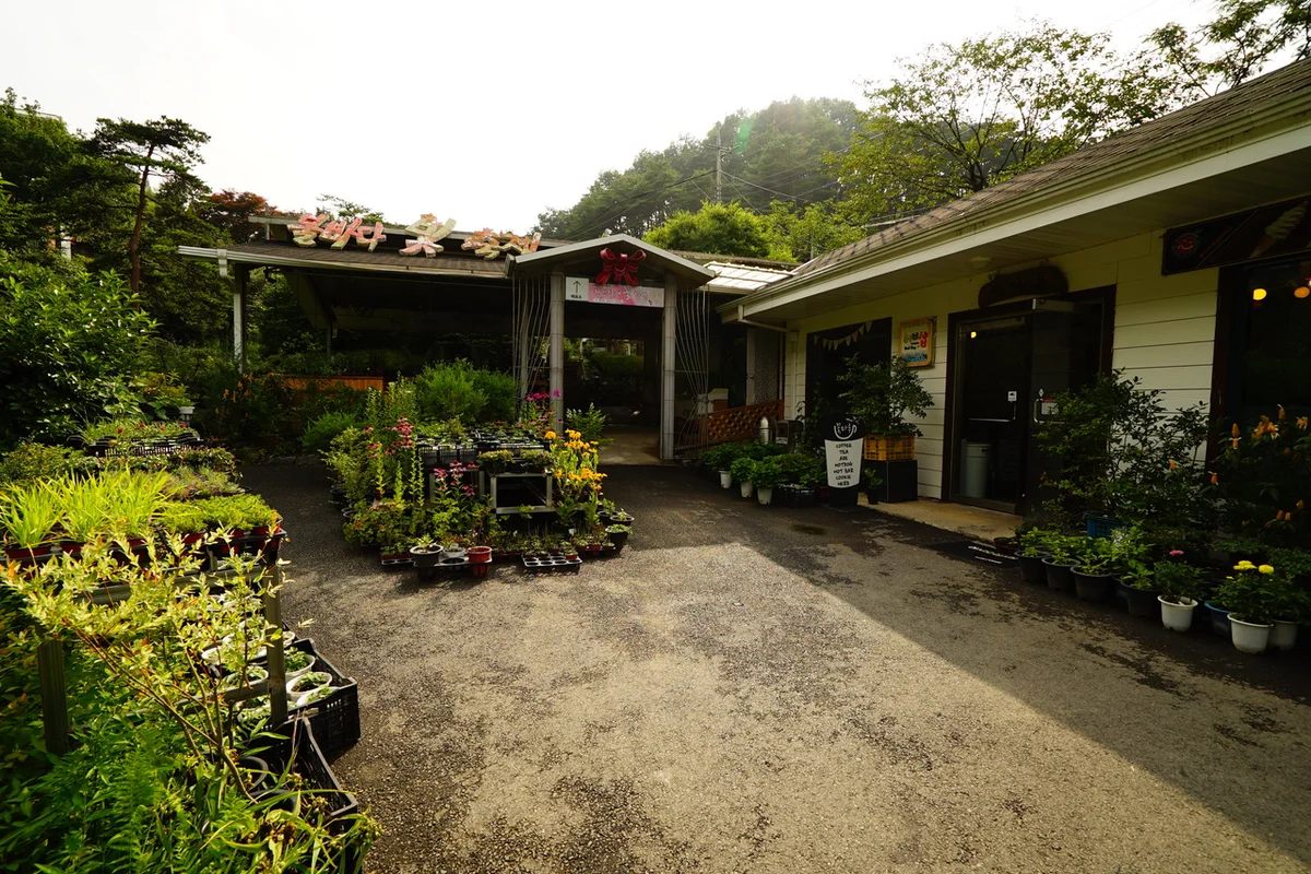 천장호출렁다리 - 청양여행 여행