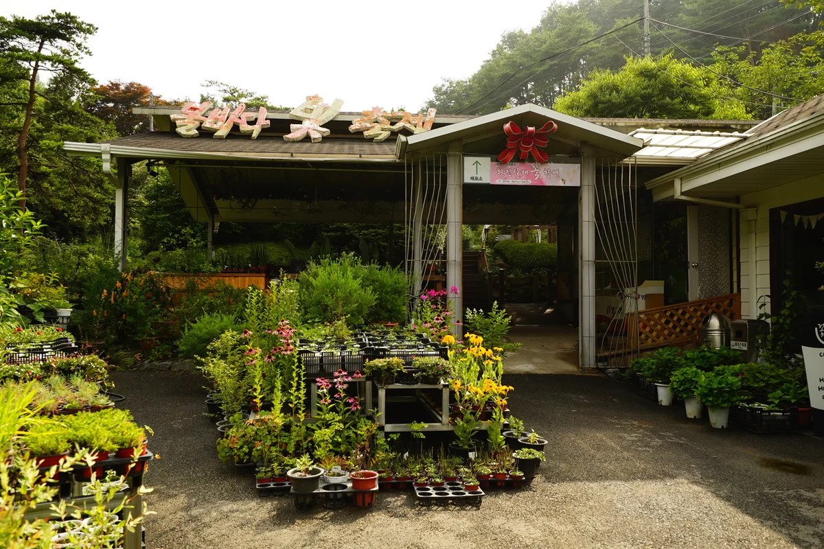 알프스마을영농조합법인 - 청양여행 여행