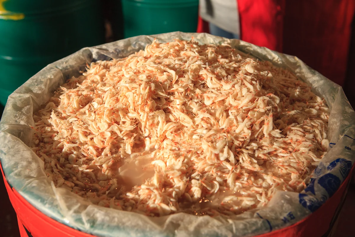 더힐링식물원팜 - 홍성여행 여행