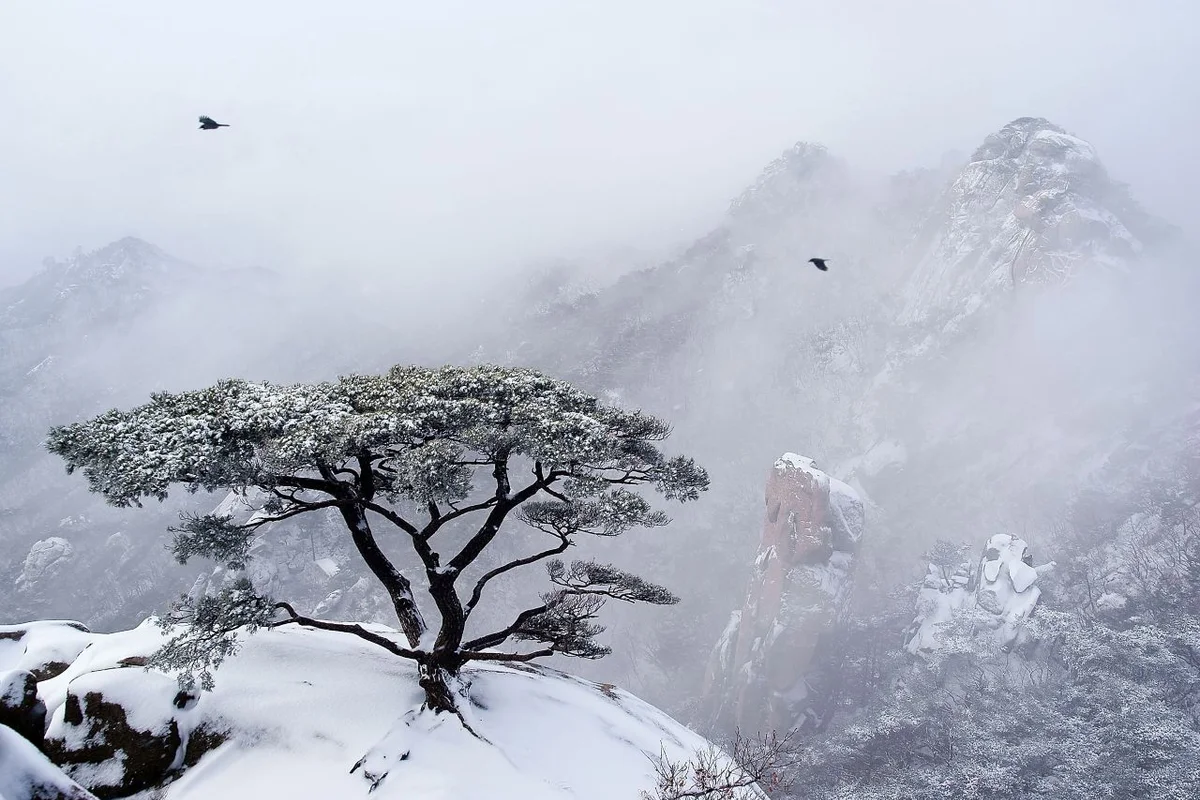 북한산 - 경기등산 여행